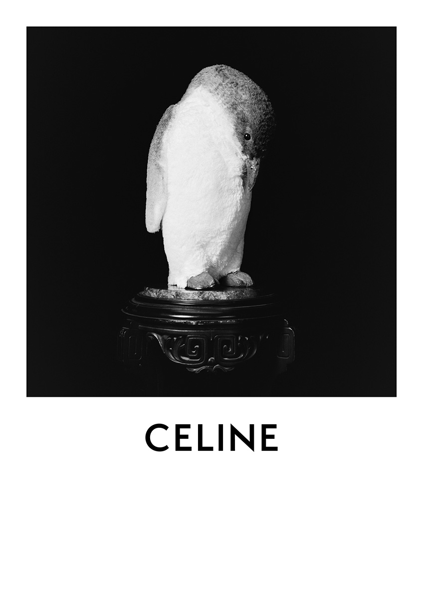 Jack white for celine portrait of a musician hedi slimane